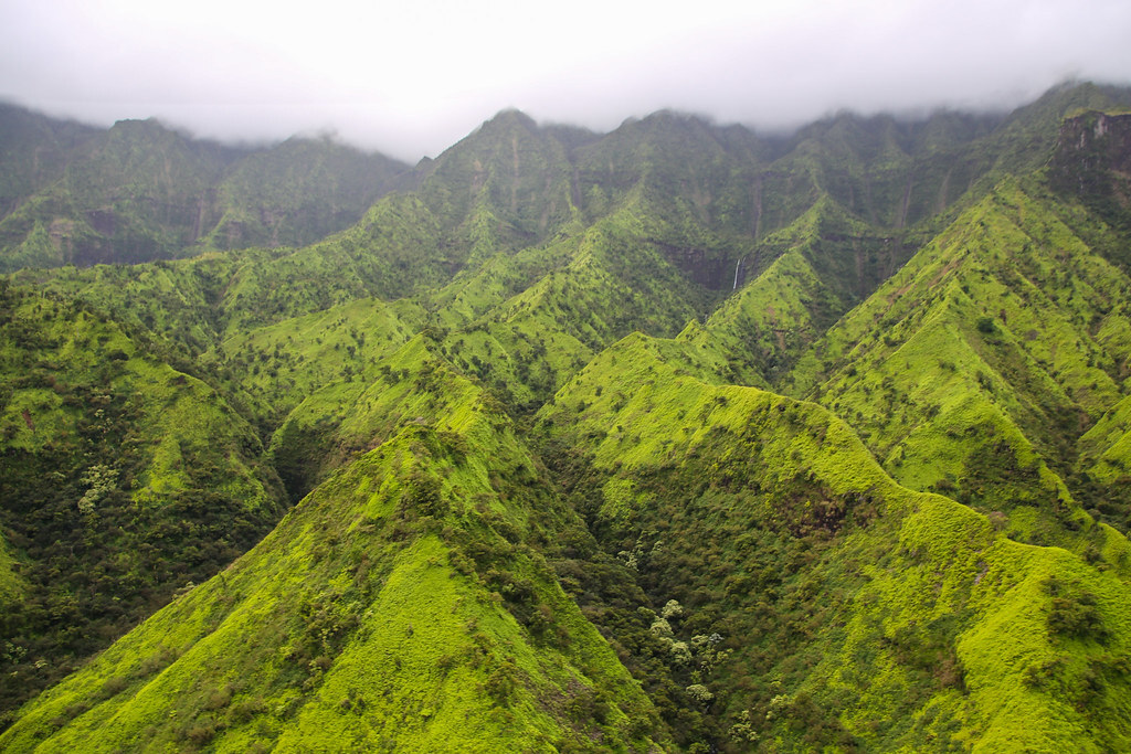 Na Pali-Kona Forest Reserve (Kauai, Hawaii)
