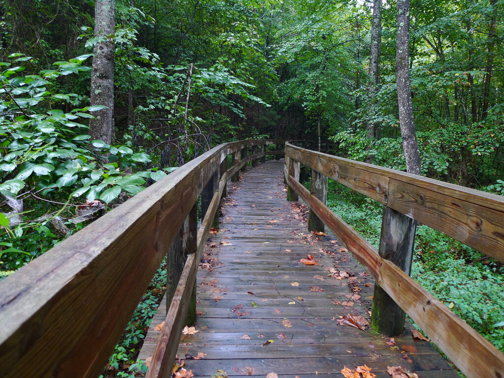 Late summer hike