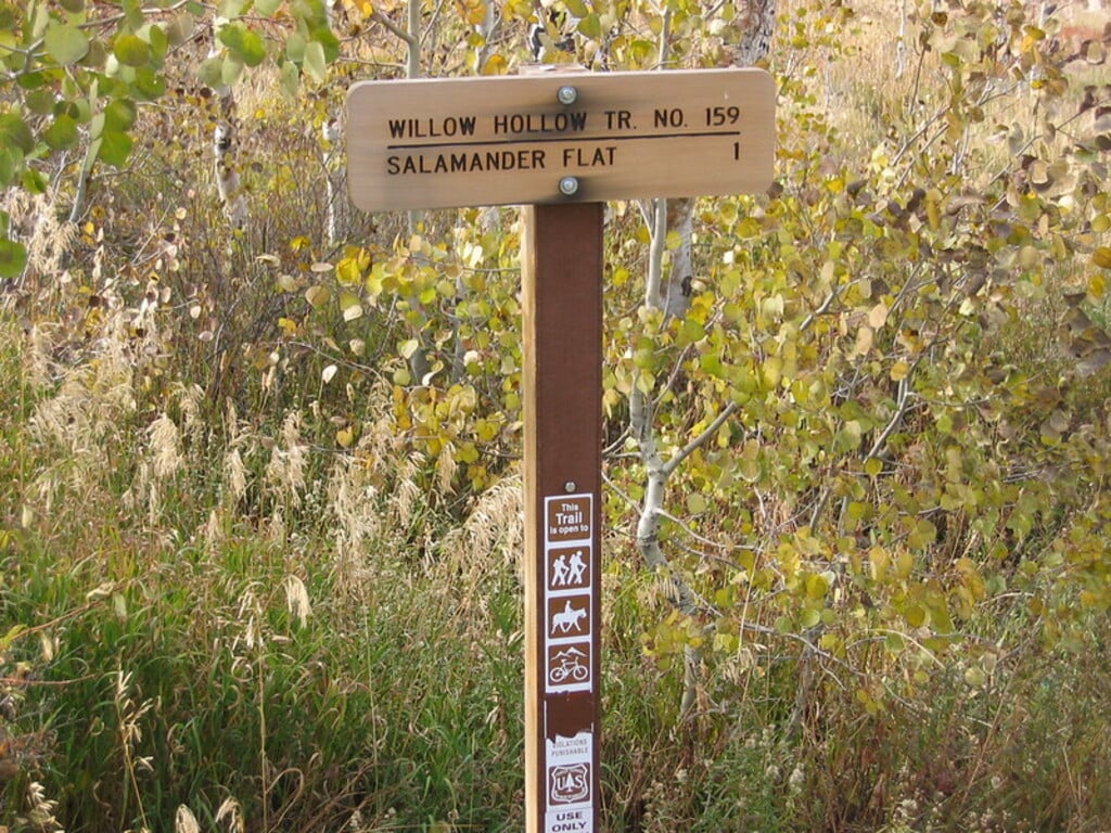 Salamander Flat