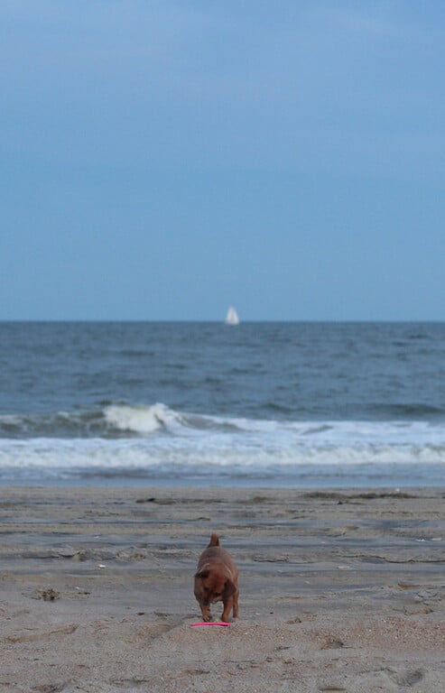 Annie and a Sailboat