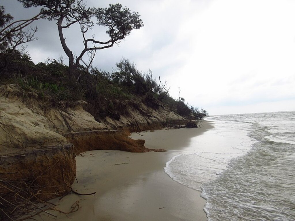Savageneckdunes