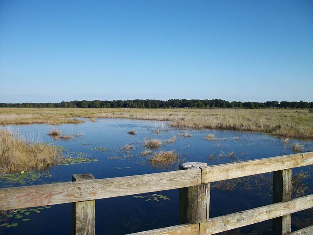 Crews Lake from the Dock(Northeast)