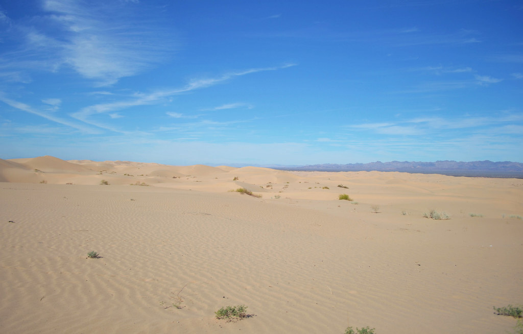 Algodones Dunes Wilderness Area