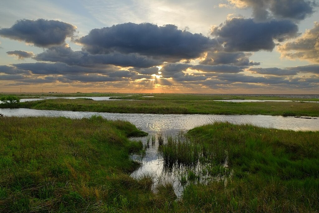 Sea Rim State Park