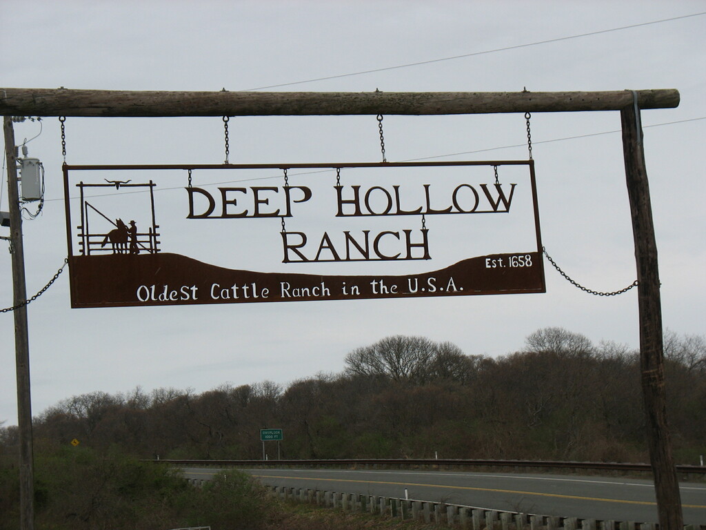 Deep-hollow-sign