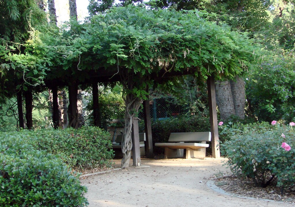 Pergola, Prospect Park, Redlands, CA 7-12