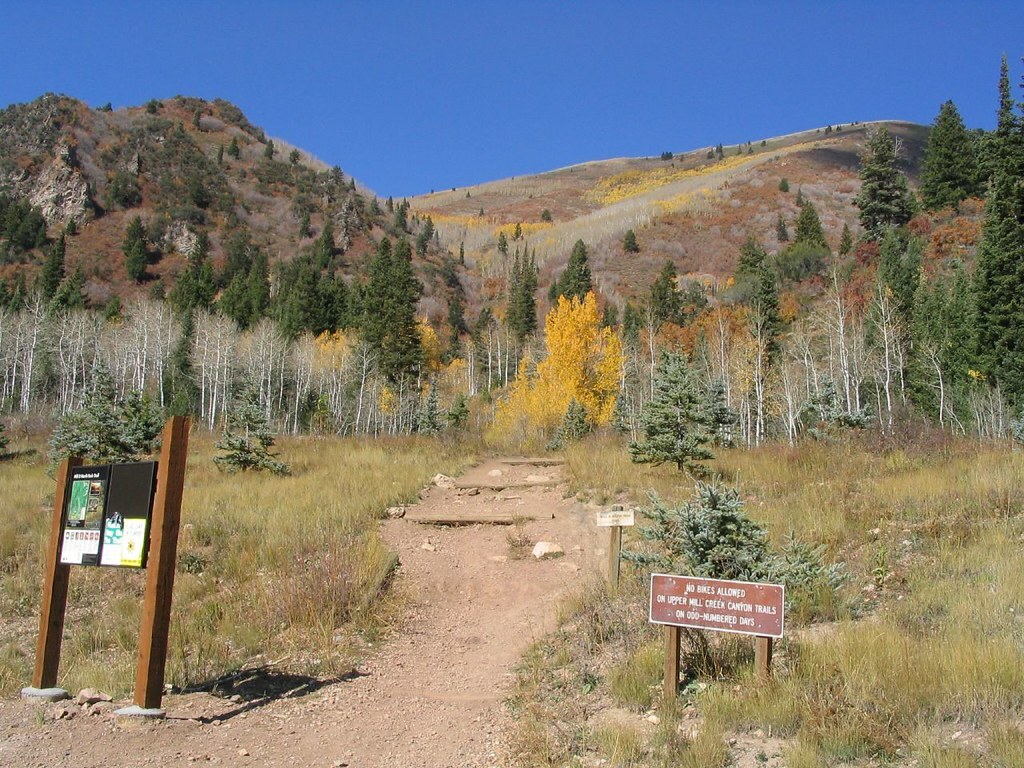 Big Cottonwood Canyon