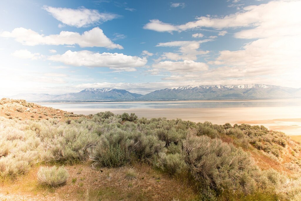 Antelope Island State Park