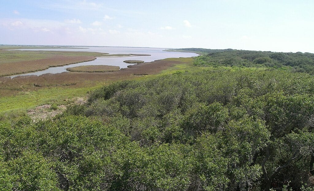 Aransas national wildlife refuge1