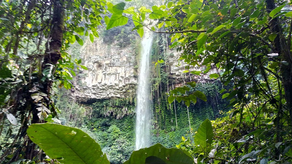 Kimatahay falls