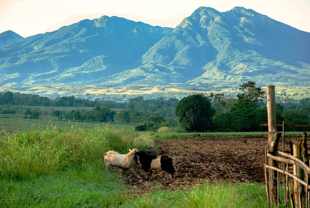 Kitanglad Mountain Range