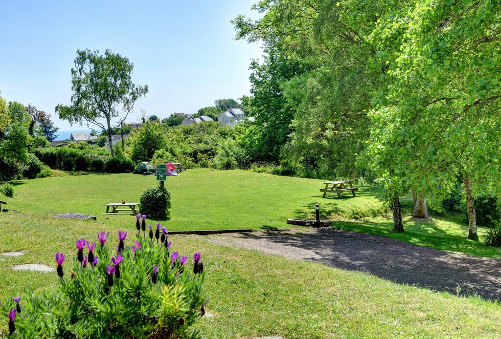 Camping & Glamping In The Grounds Of YHA Beer