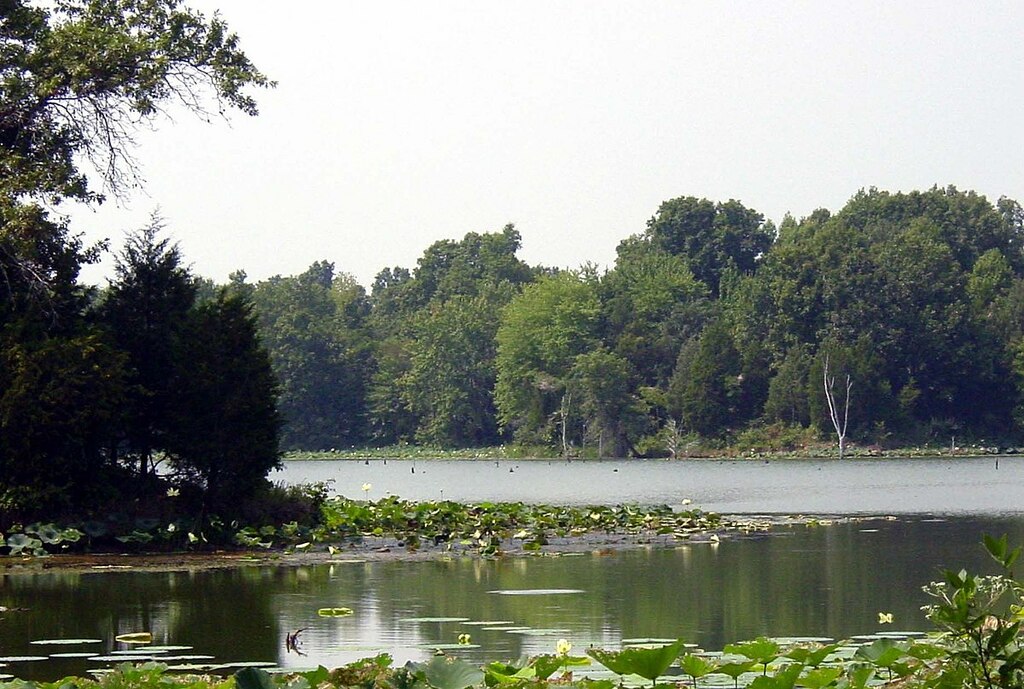 IL Crab Orchard National Wildlife Refuge wetlands (7256123752)