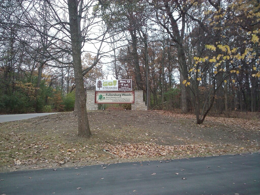 Fullersburg Woods, Graue Mill, IL - panoramio