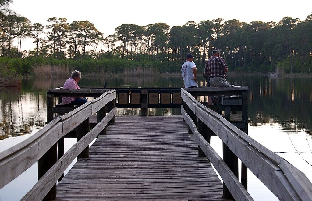Alabama's Coastal Connection - Watching Wildlife at Audubon Bird Sanctuary on Dauphin Island