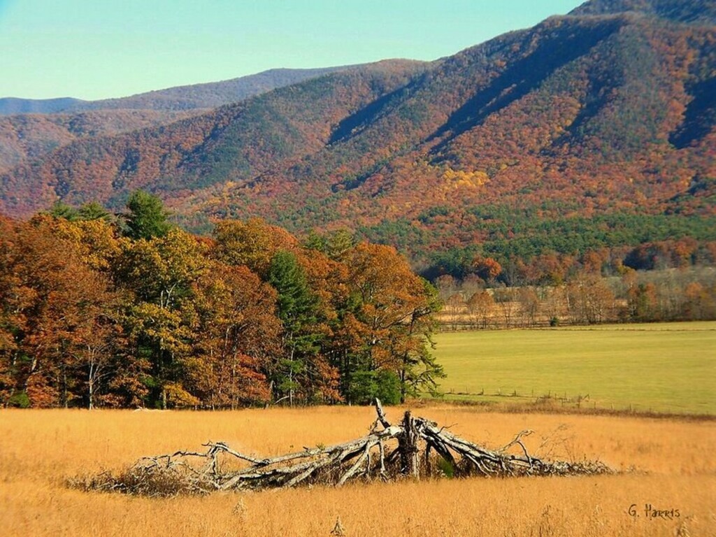 Top 20 Things To Do In Maryville, Tennessee Trip101