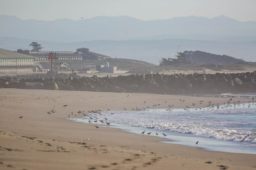 Moss Landing State Beach, CA (24323221477)