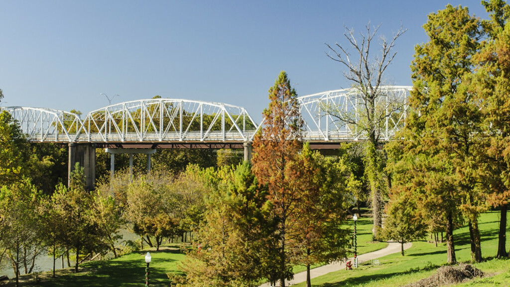 22 Best Things To Do In Bastrop, Texas Trip101