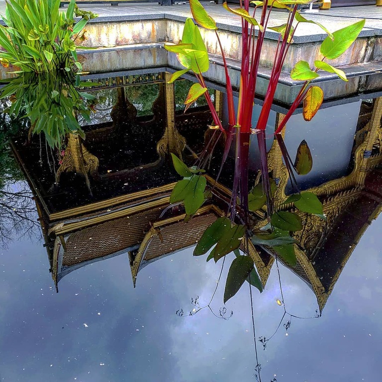 things to do in madison wi | marvel at the beauty of nature at olbrich botanical gardens