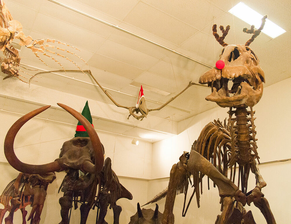 Christmas fossils