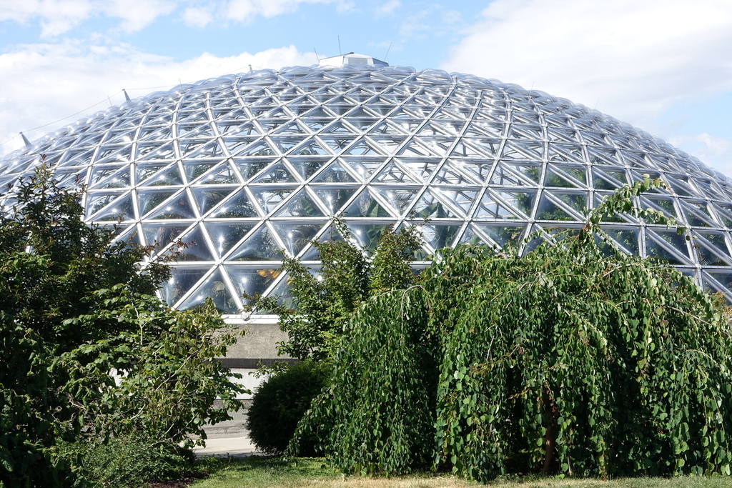 Bloedel Floral Conservatory, Queen Elizabeth Park - Vancouver, Canada - DSC07563