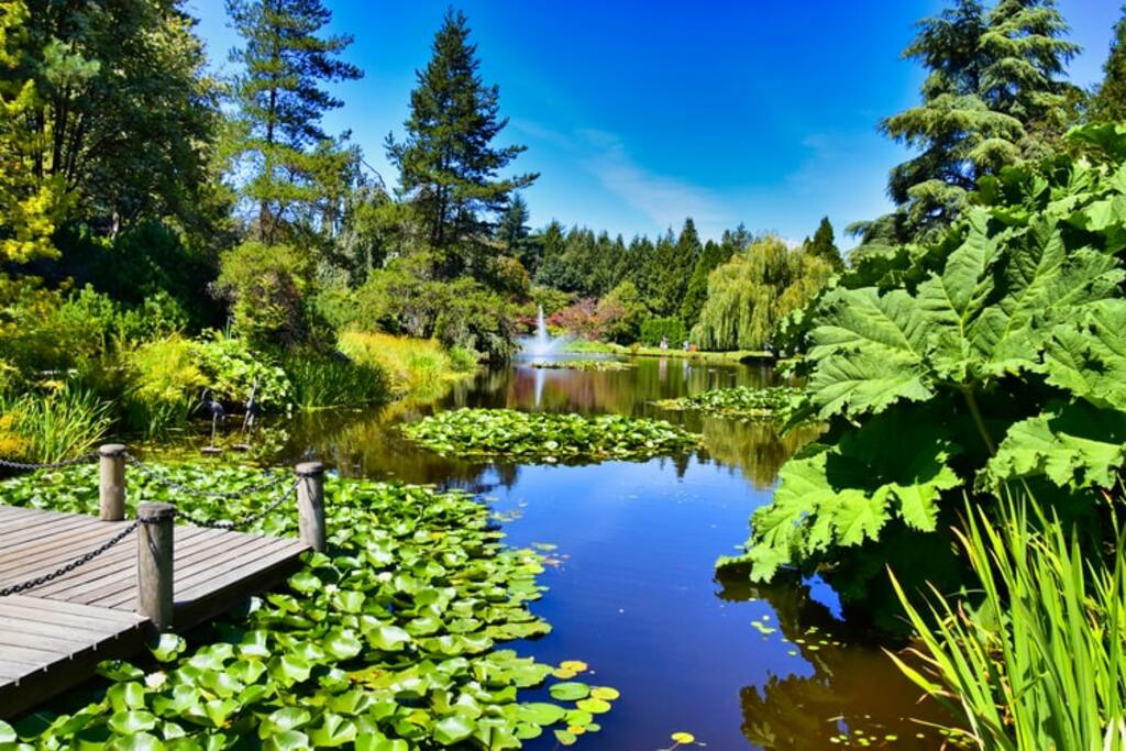 VanDusen Botanical Garden