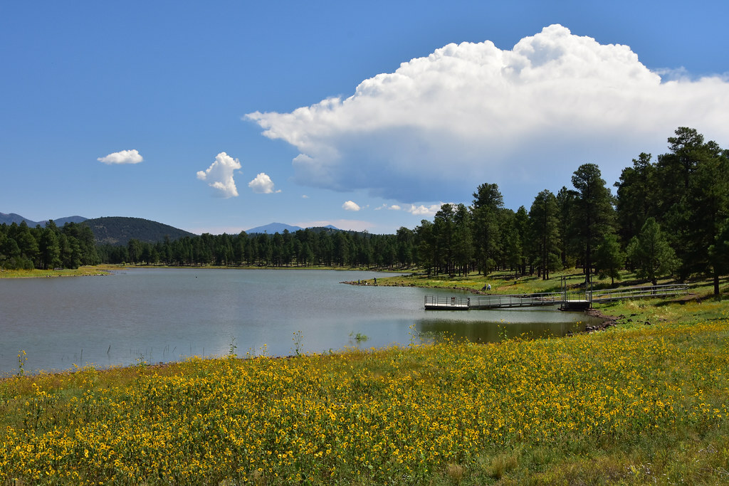 Kaibab National Forest
