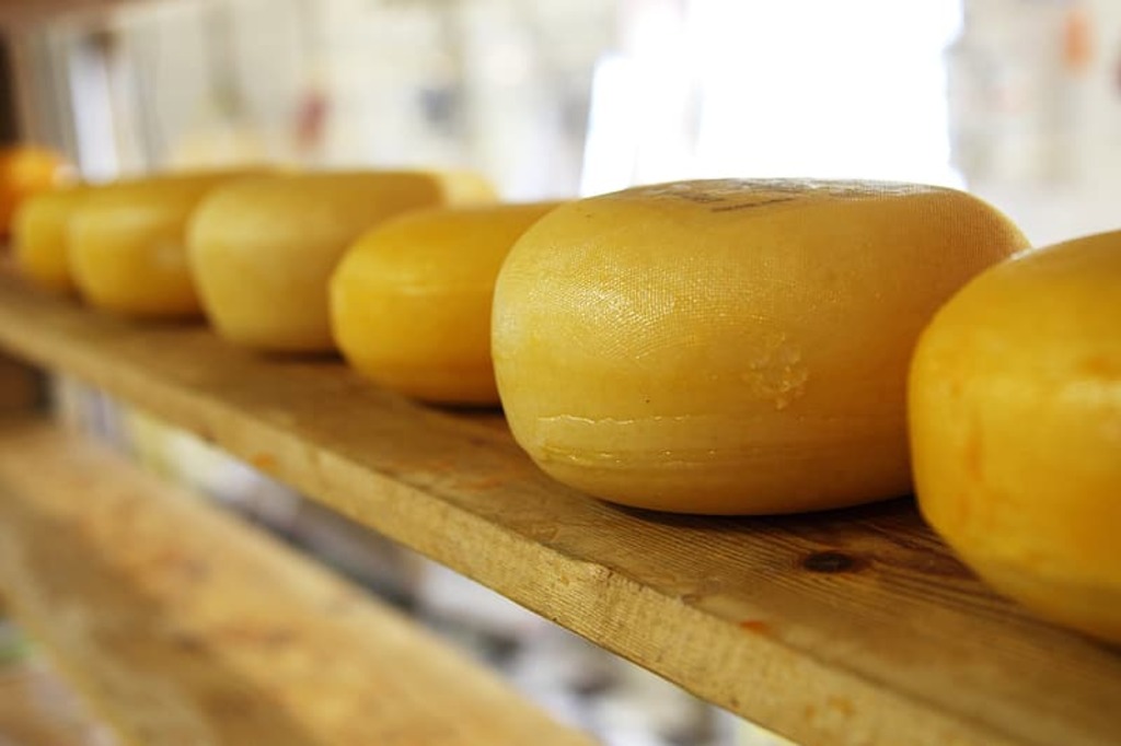 Delft cheese