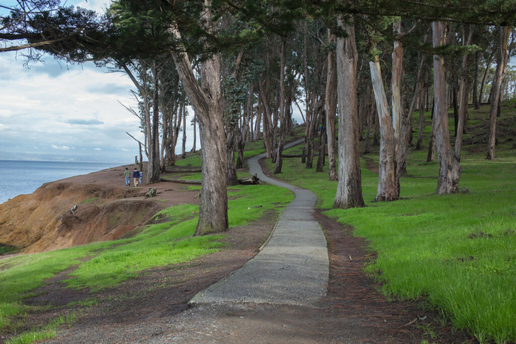 Coyote Point Recreation Area / Bluff Trail