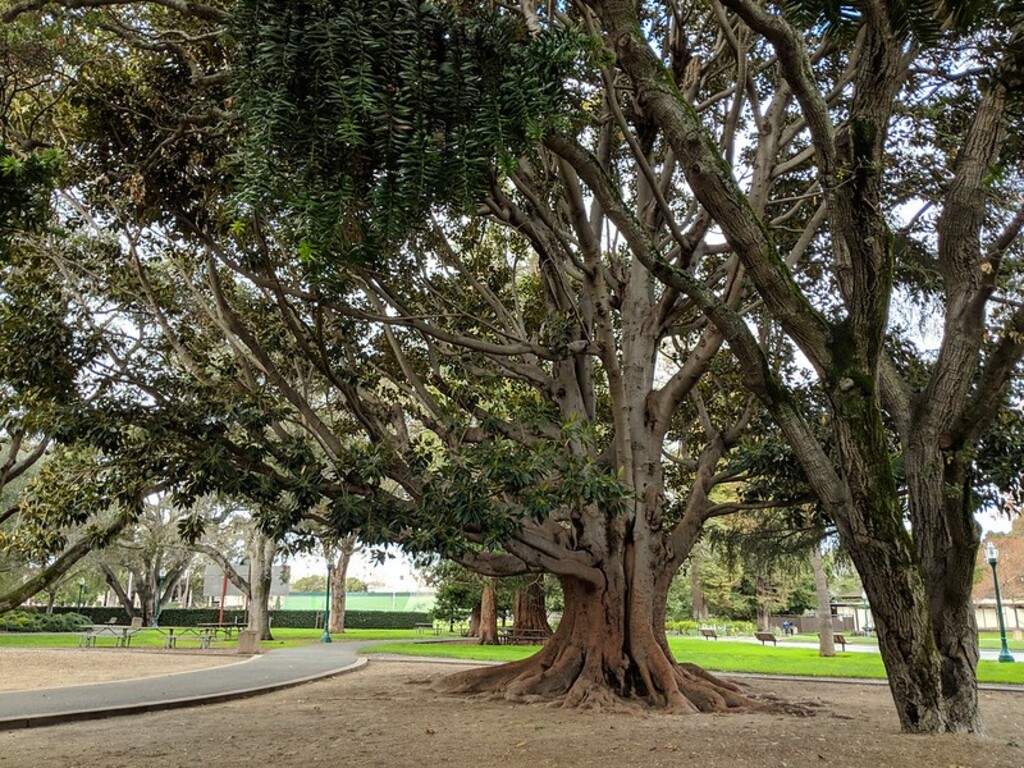 Central Park San Mateo