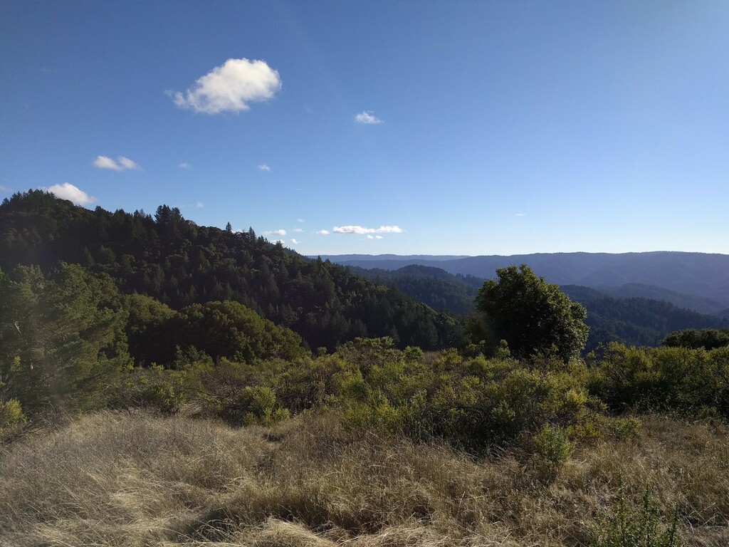 Skyline Ridge Open Space Preserve