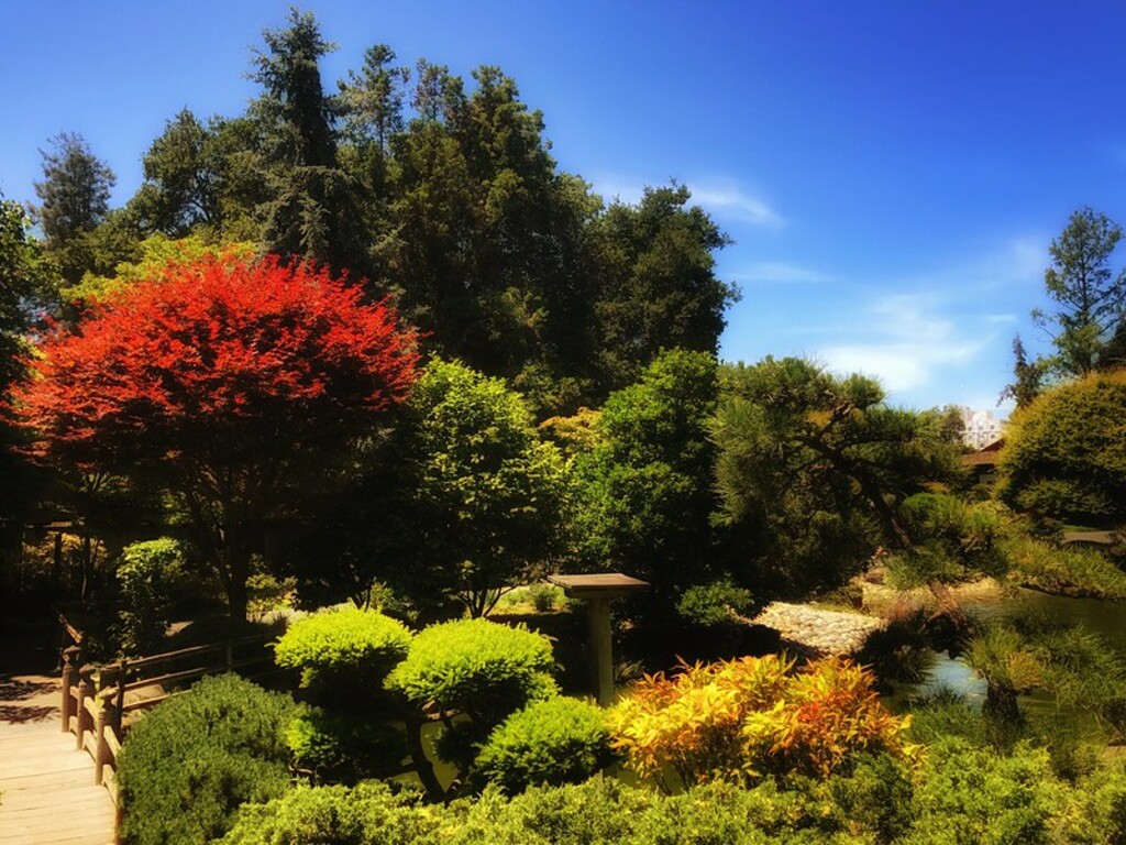 Japanese garden in San Mateo