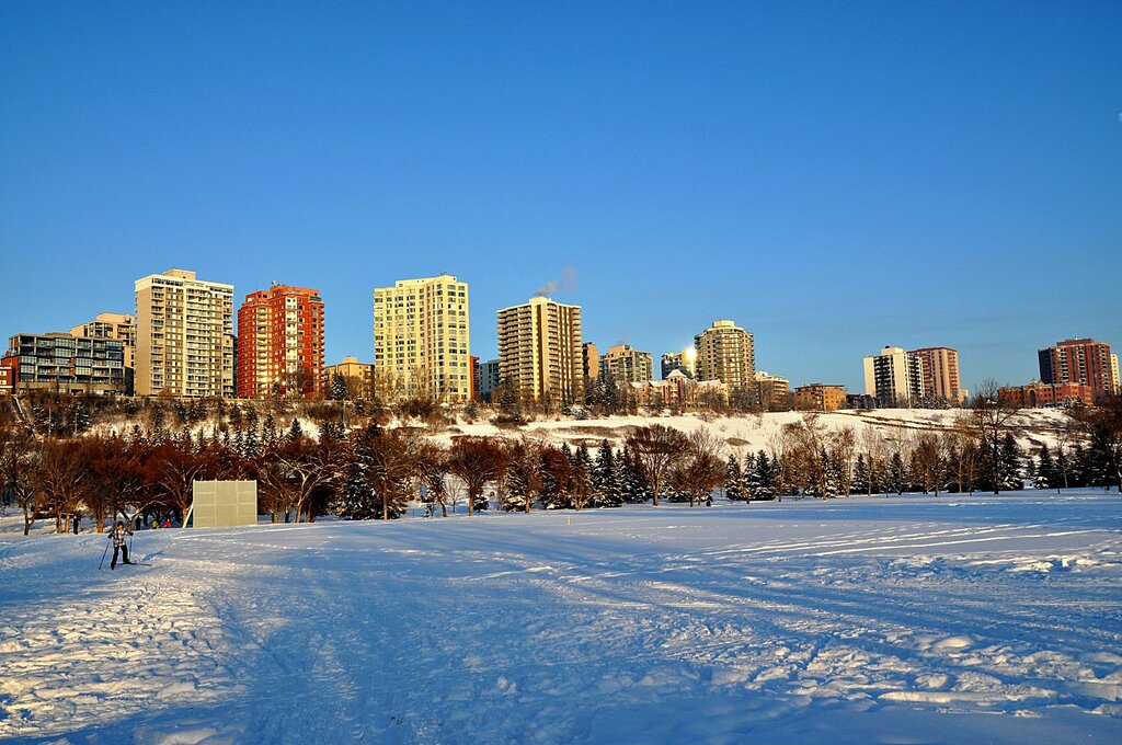Winter in the City