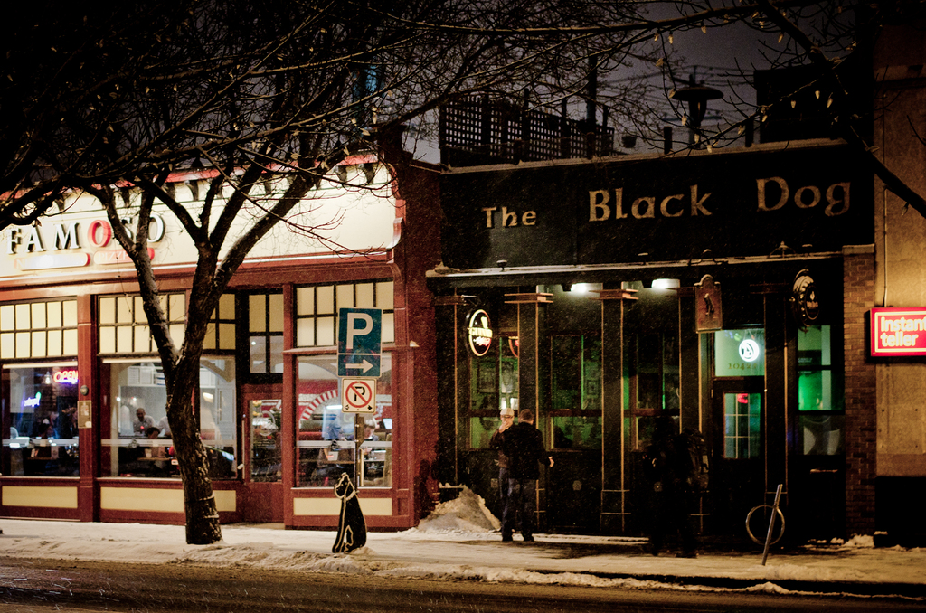 The Black Dog