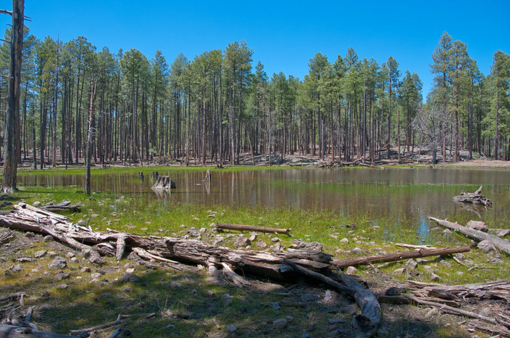 Lost Lake