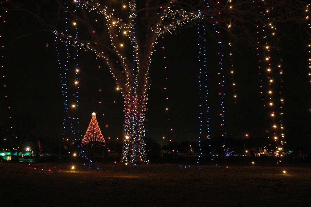Trail of Lights