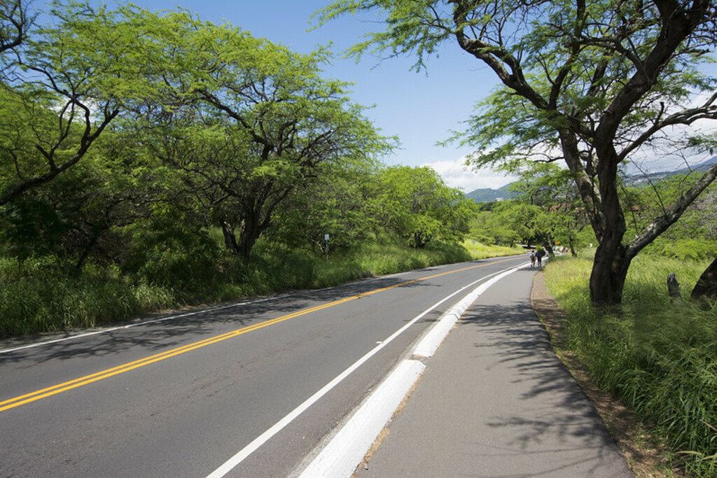 Diamond Head Hike #4