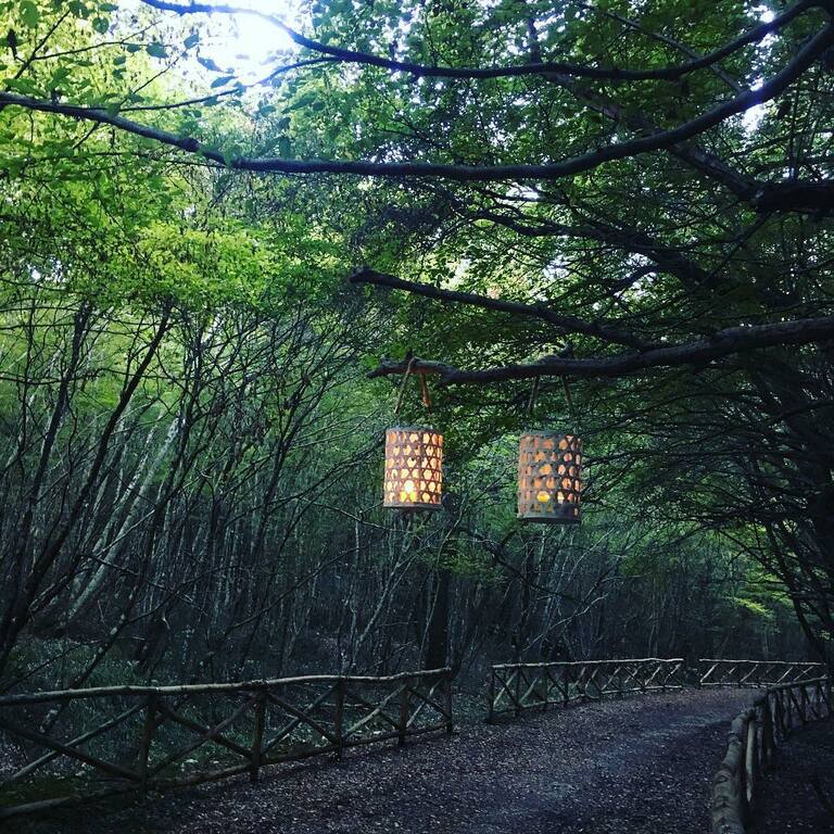 things to do in martina franca | bosco delle pianelle natural reserve