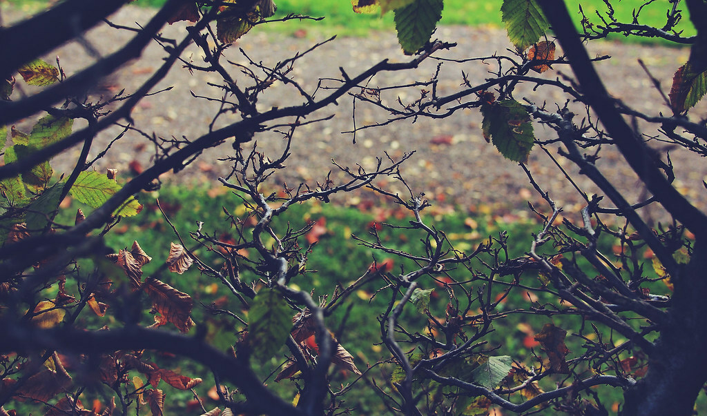 Lurking / Park