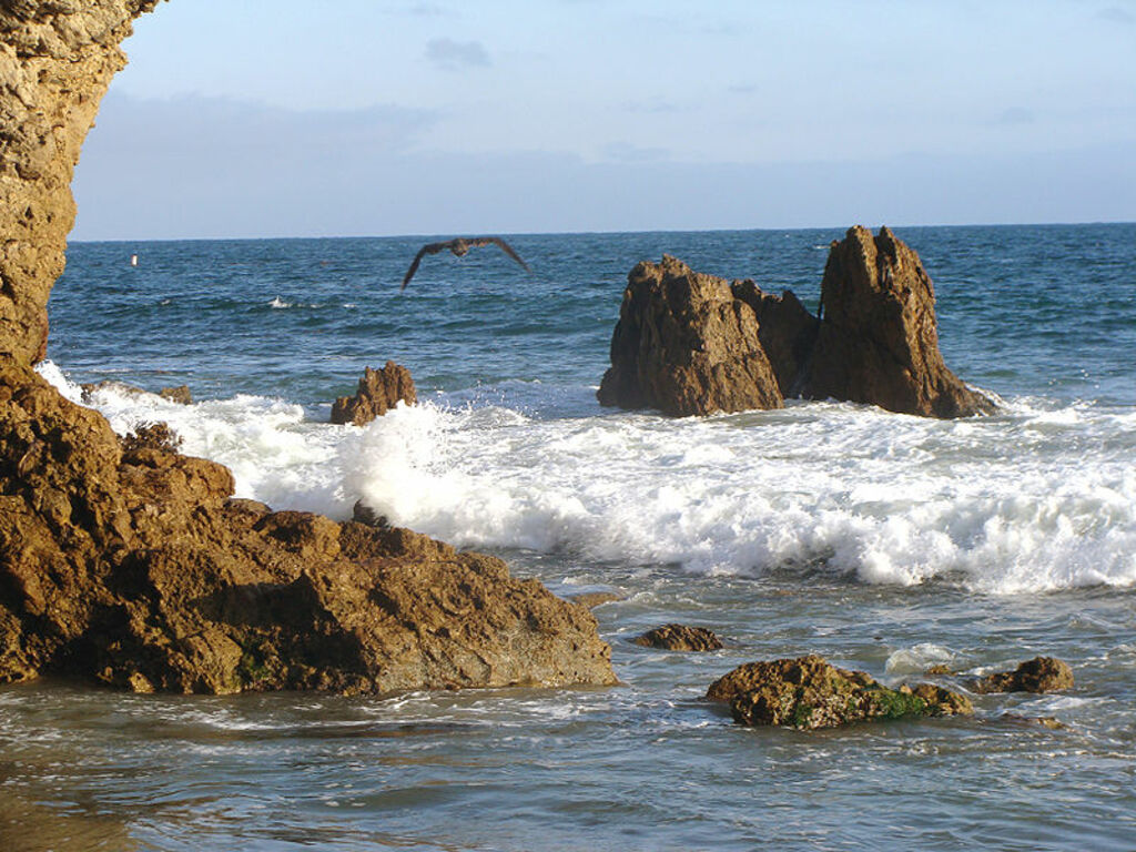 Corona del Mar SB Nima1