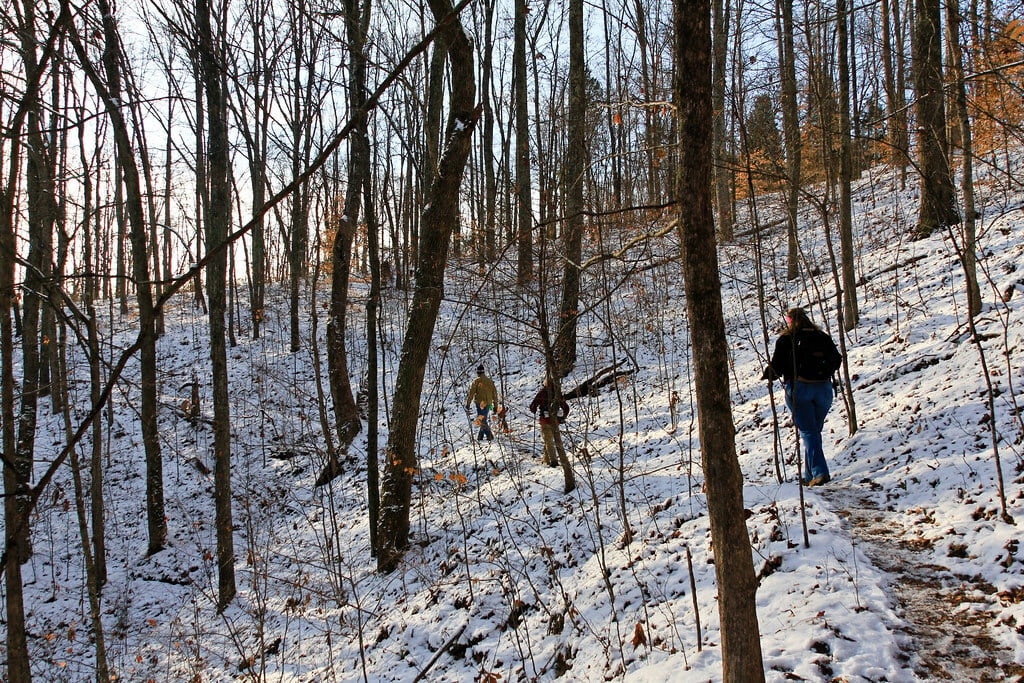 Beaman Park Trails