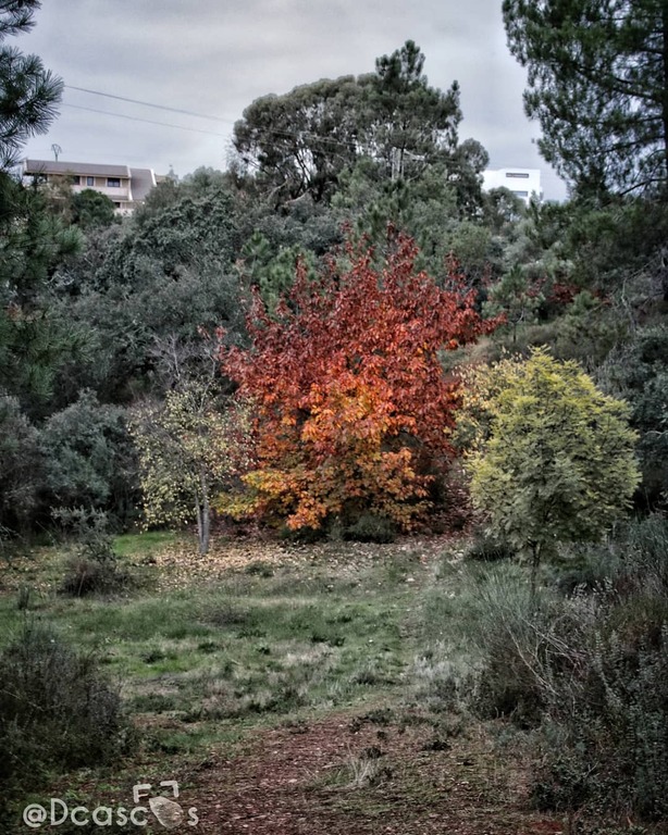 things to do in caceres spain | spend an afternoon at parque olivar chico de los frailes