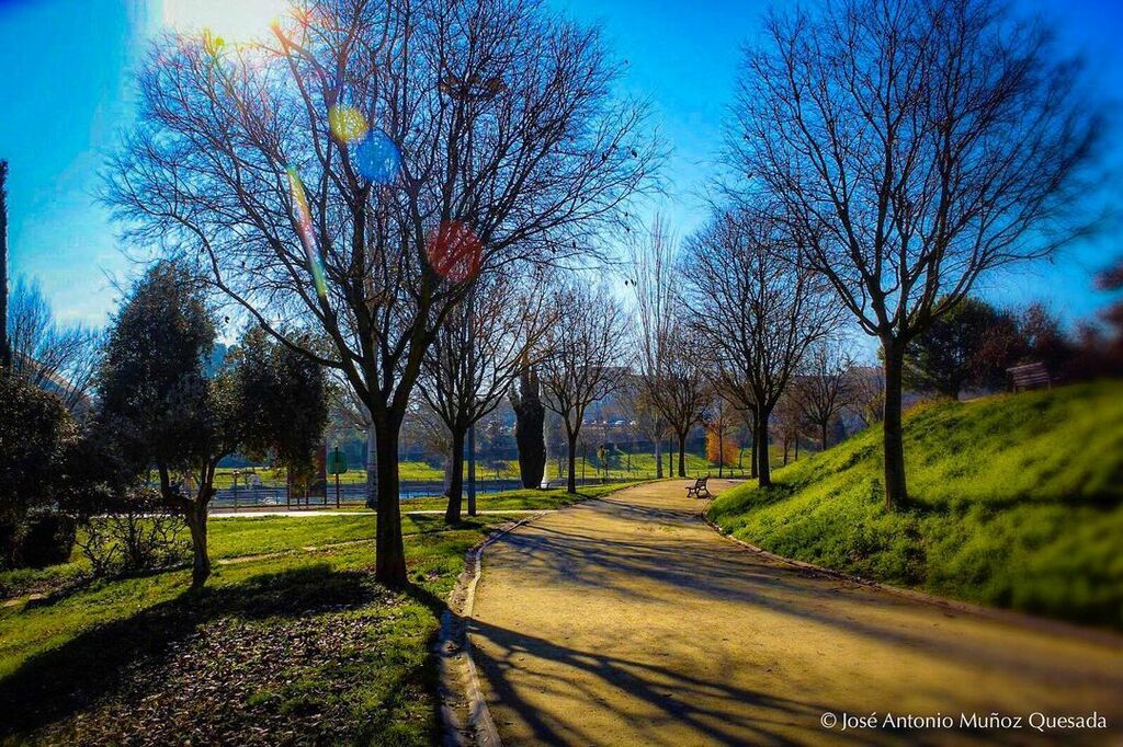 things to do in caceres spain | stroll around the lake in parque el rodeo