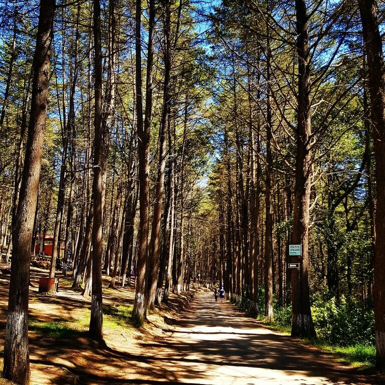 things to do in xela | enjoy the outdoors at cerro el baúl park