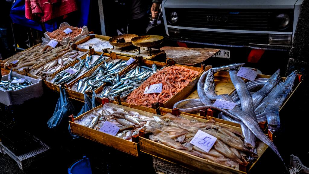 Seafood picture