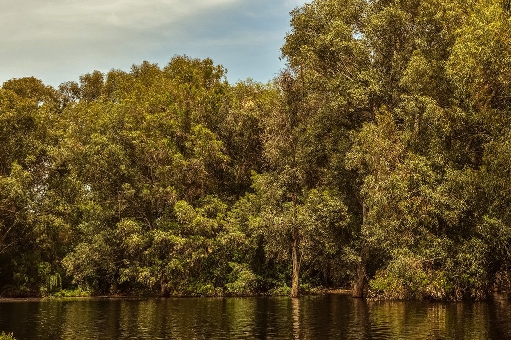 Lake park