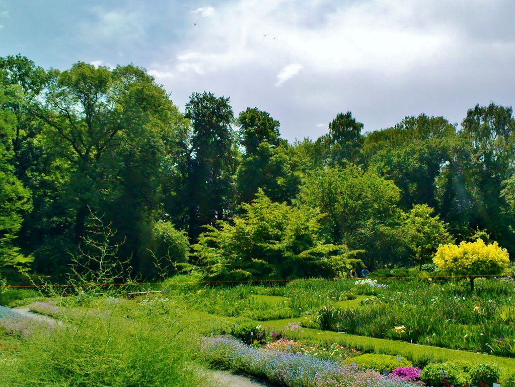 Kraków - Botanical Garden of the Collegium Śniadeckiego of the Jagiellonian University no. 6