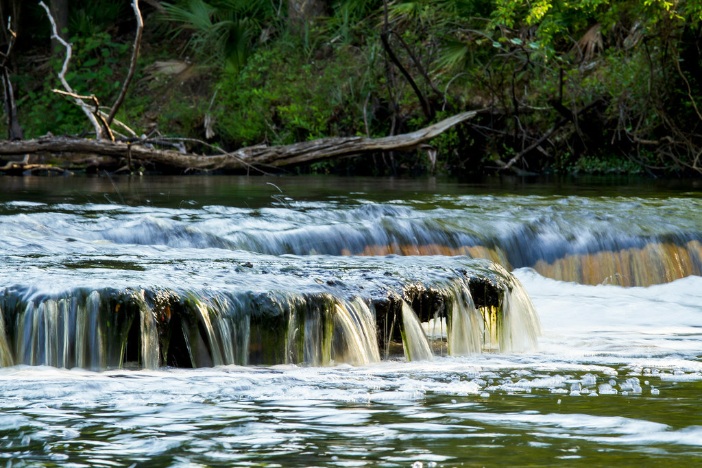 Steinhatchee Falls