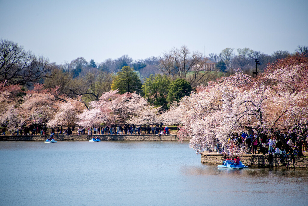 Tidal Basin