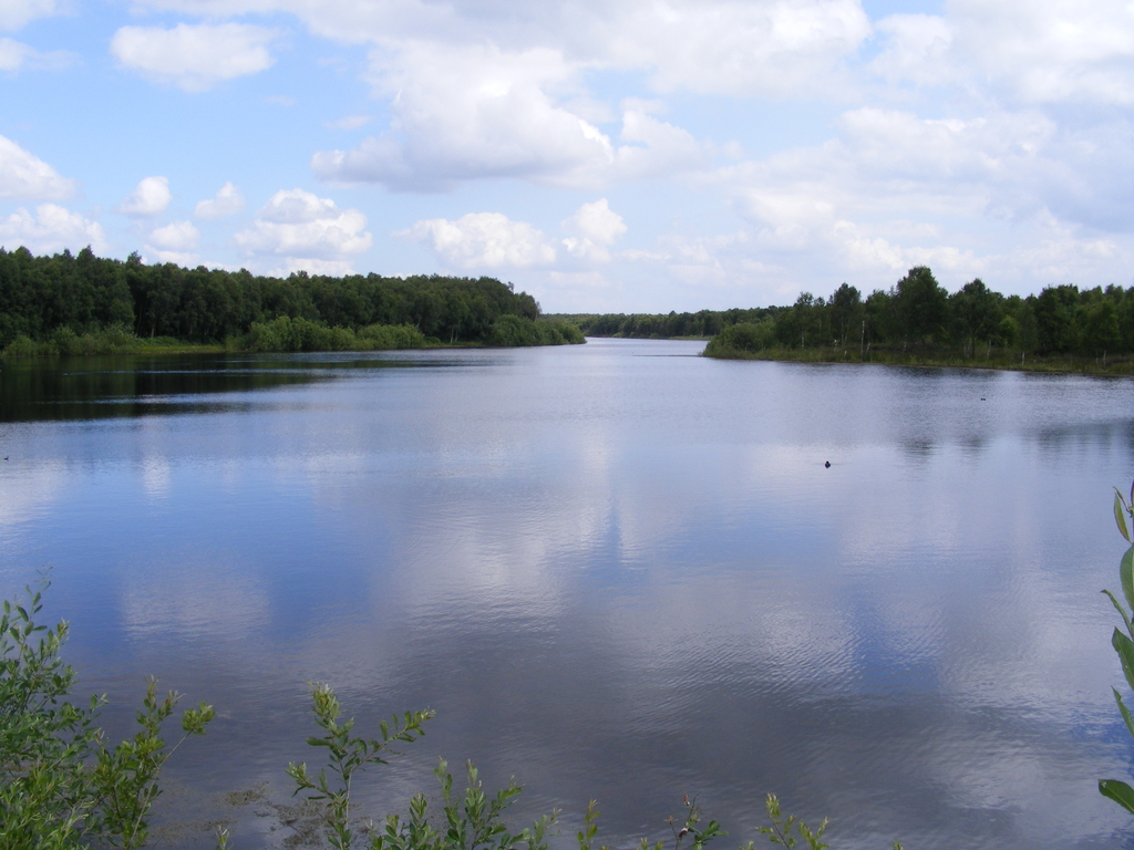 Ten Acre Lake